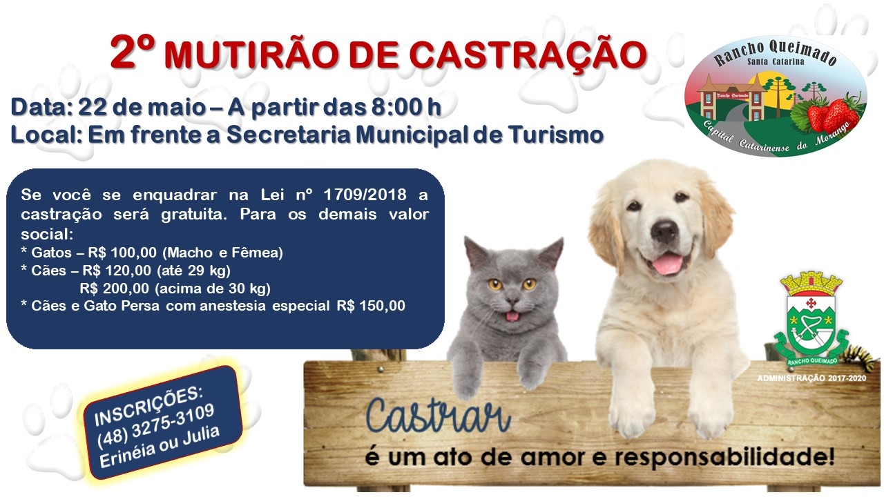 2º Mutirão de Castração